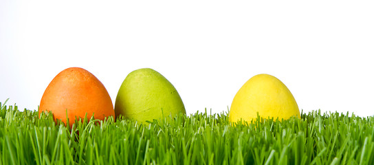 Image showing easter eggs in grass