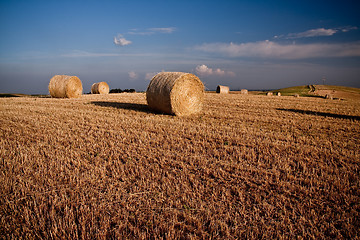 Image showing Typical Tuscan landscape