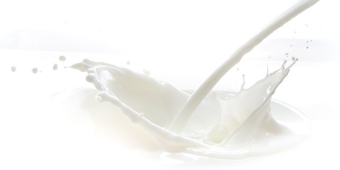 Image showing milk splash