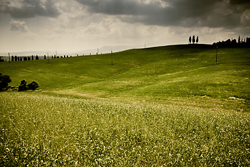 Image showing Typical Tuscan landscape