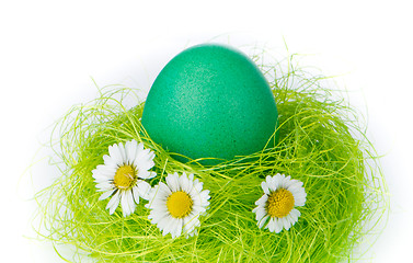 Image showing easter egg in nest