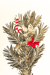 Image showing Christmas branch 