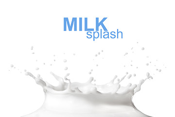 Image showing Milk splash isolated on white