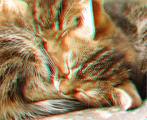 Image showing 3D anaglyph of two sleeping cats