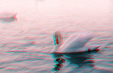 Image showing 3D anaglyph of a graceful swan