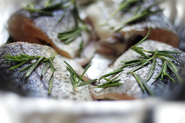 Image showing Fresh fish