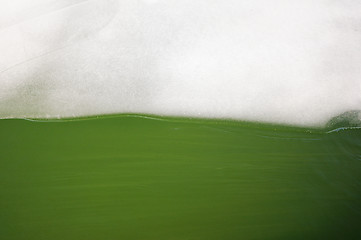 Image showing Ice and green algae water