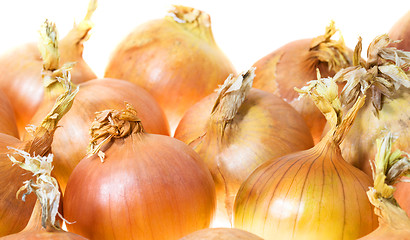 Image showing Onions (isolated)
