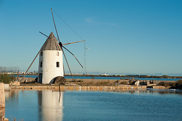 Image showing Salt marsh