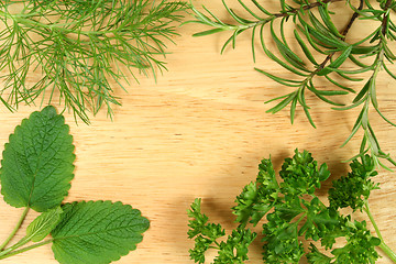 Image showing Green herbs