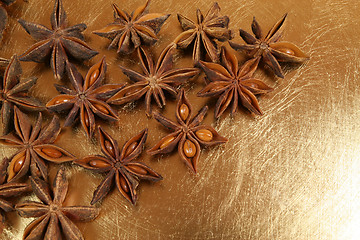 Image showing Star aniseed.