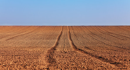 Image showing Agricultural abstract