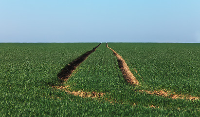 Image showing Agricultural abstract