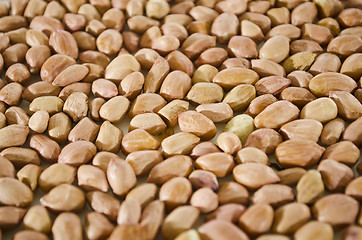 Image showing Peanuts