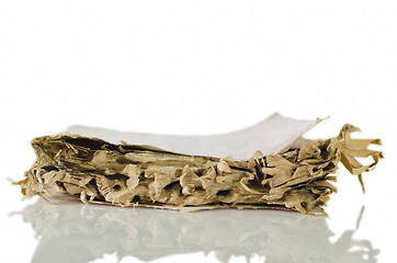 Image showing Termite-damaged Book