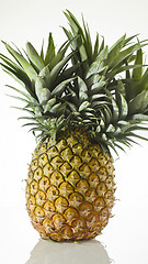 Image showing Pineapple