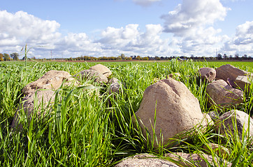 Image showing Stone stack pile grass surround agricultural field 