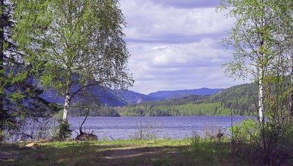 Image showing Norwegian landscape.