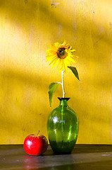 Image showing Sunflower in glass vase and red apple still life 