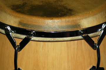 Image showing Conga Drum