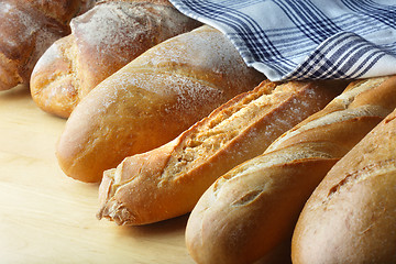 Image showing bread