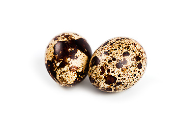 Image showing two quail eggs