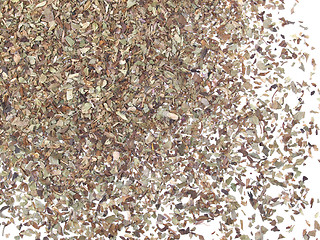 Image showing Oregano spice