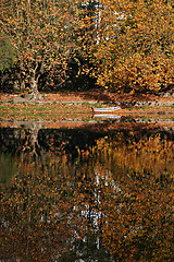 Image showing autumn scene