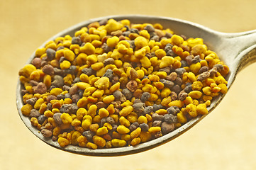 Image showing bee pollen