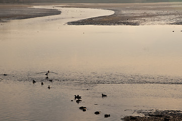 Image showing  lake in morning sun