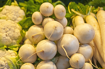 Image showing radish