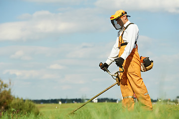 Image showing Grass trimmer works