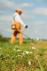 Image showing Grass trimmer works concept