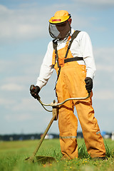 Image showing Grass trimmer works