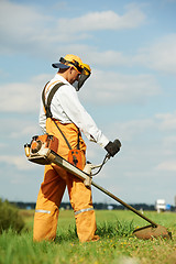 Image showing Grass trimmer works