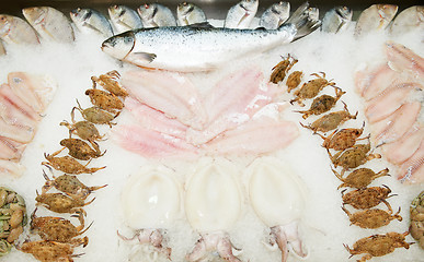 Image showing set of fresh frozen seafood