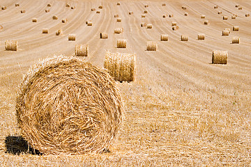 Image showing Hay Bales