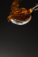 Image showing Honey on spoon