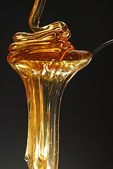 Image showing Honey flow