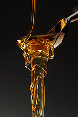 Image showing Melting honey