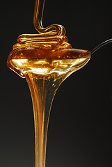 Image showing Sweet honey