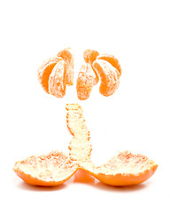 Image showing tangerine