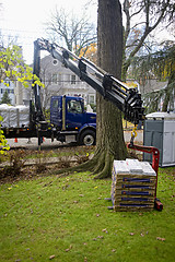 Image showing Crane Delivery