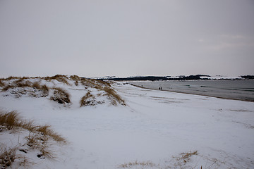 Image showing Winter on the beach