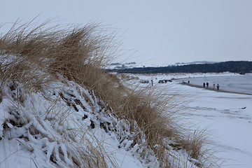 Image showing Winter on the beach