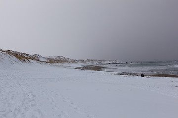 Image showing Winter on the beach