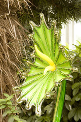 Image showing glass flower