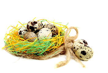 Image showing Colourful easter eggs in the nest.