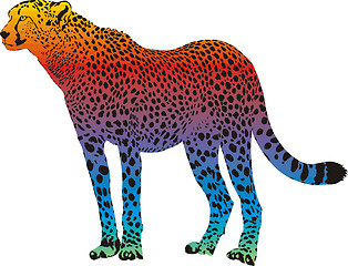 Image showing cheetah - vector abstract rainbow