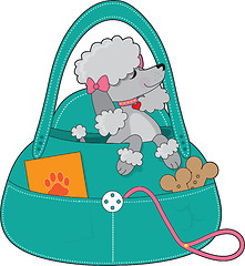 Image showing Travel Poodle